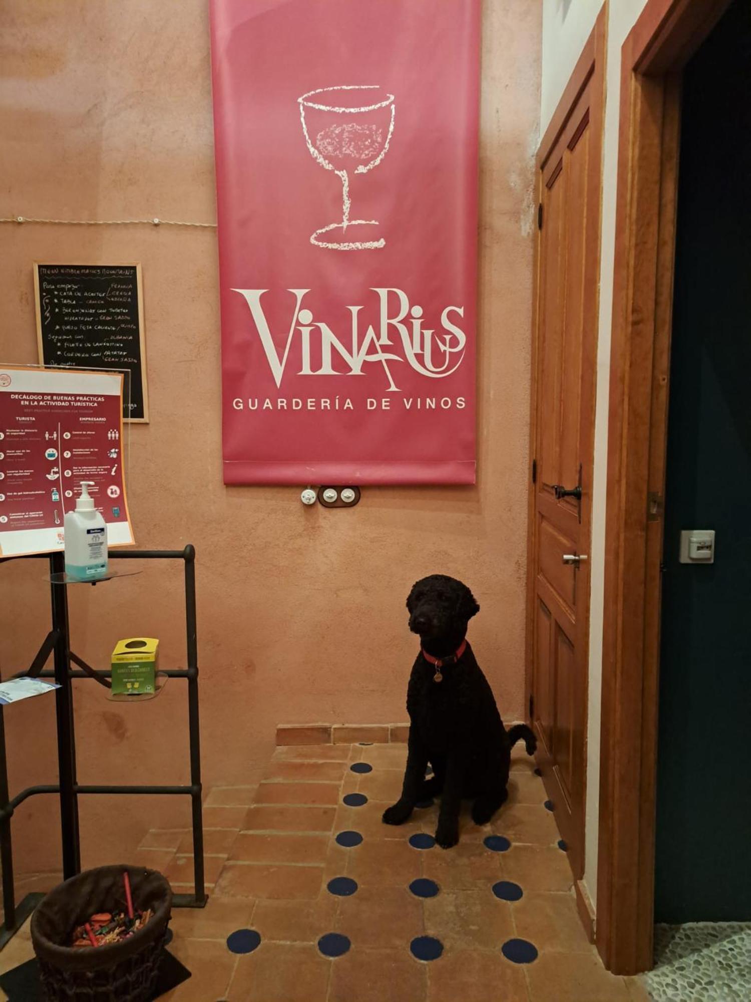 Vinarius, Rural * Castellanos de Villiquera